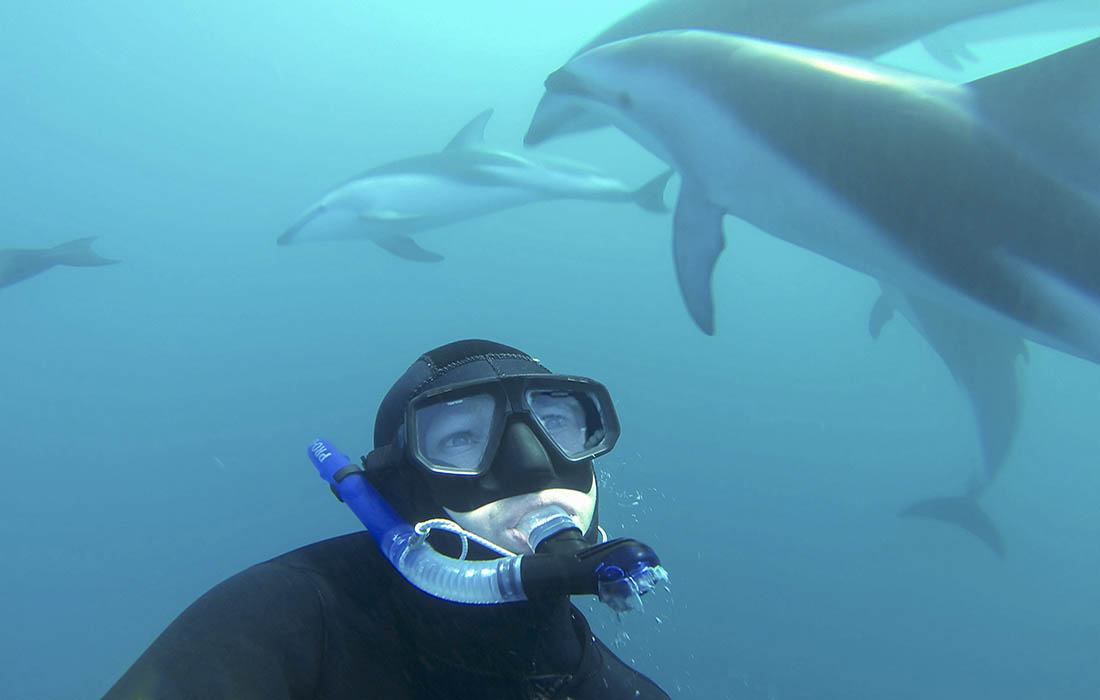 Swimming with dolphins underwater in Kaikoura