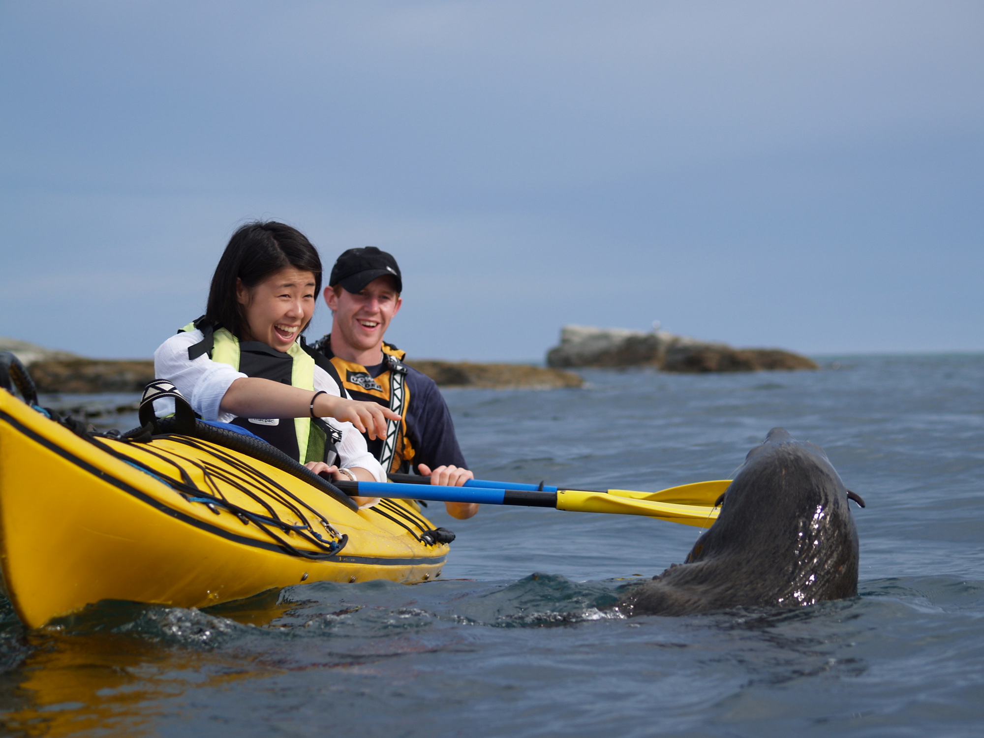 Coastal kayaking with mountains in the background