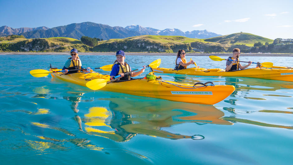 Kayaking and wildlife encounters near Kaikoura