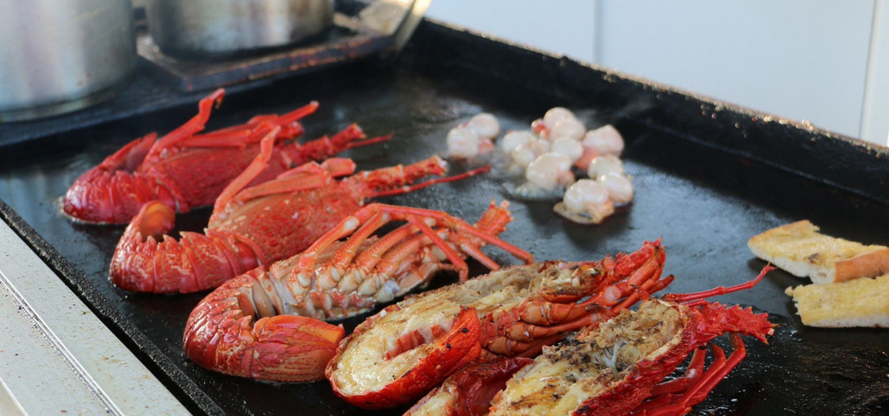 Fresh seafood BBQ on the Kaikoura shoreline