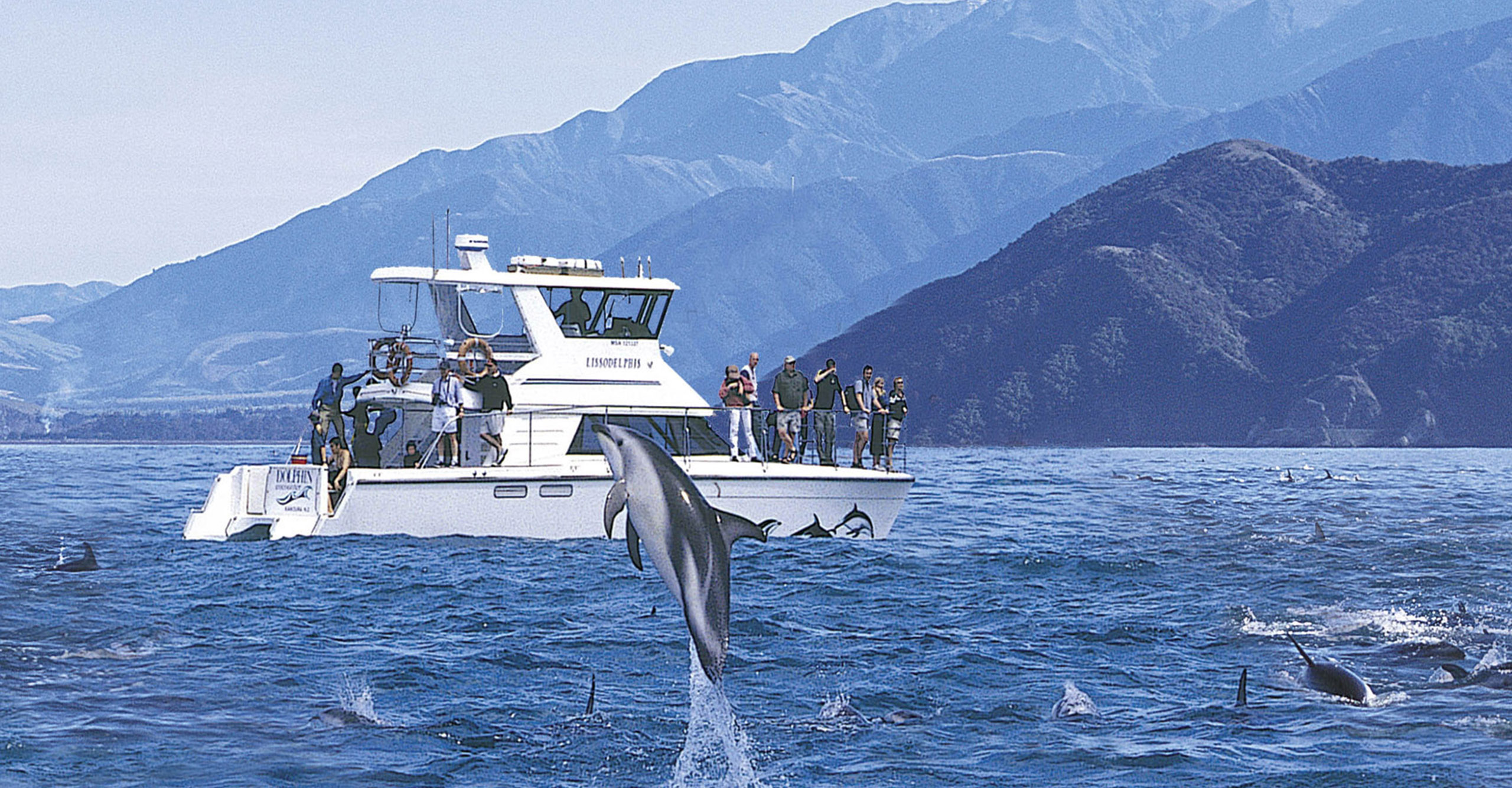 Dolphins