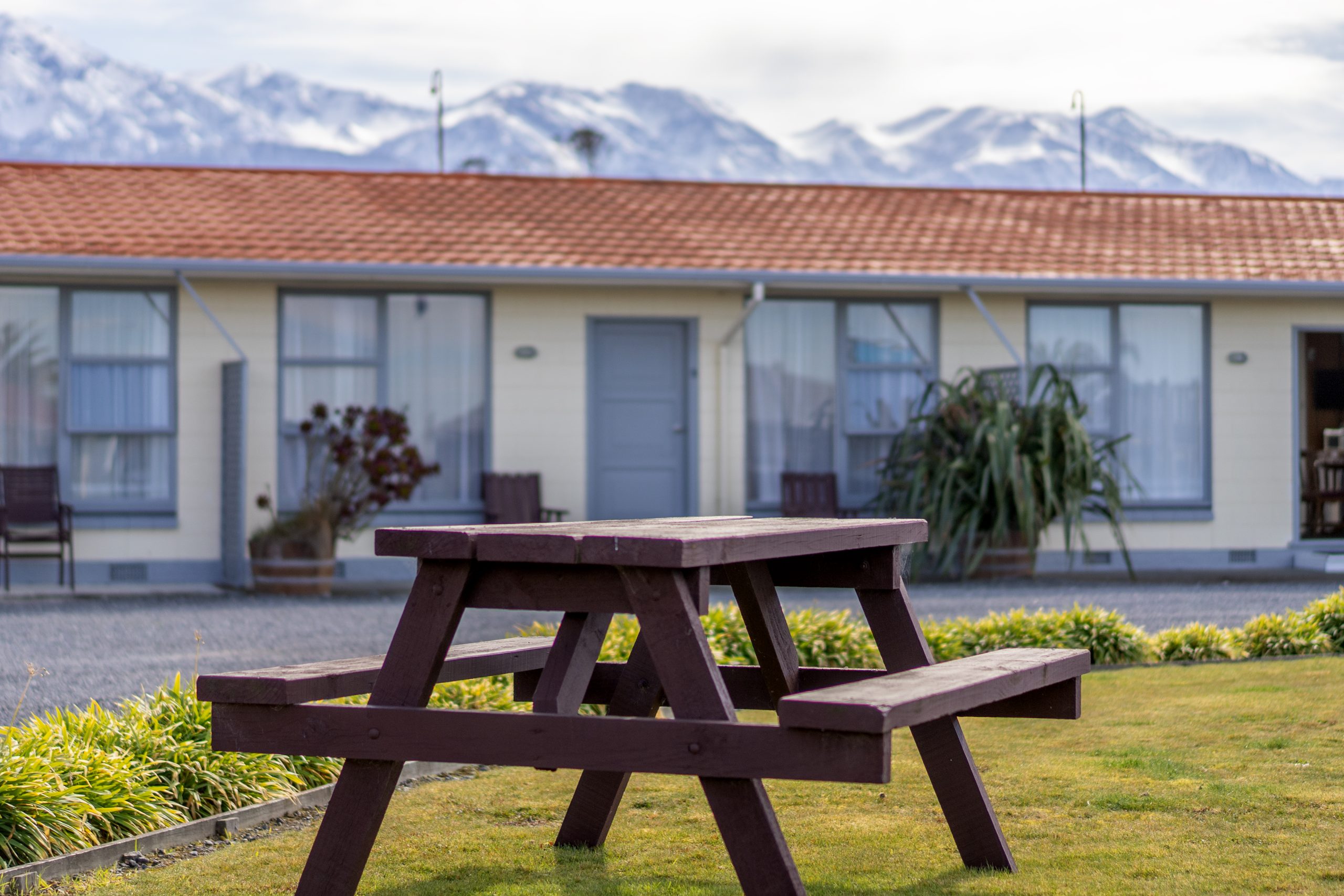Kaikoura nature scenery